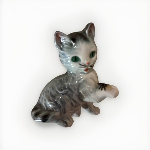 Goebel grey tabby kitten with - tabby,