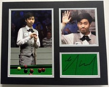 Chinese Snooker Sensation Si