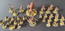 Warhammer 40k Tyranid Combat Patrol Well Painted Tyranids Army Games Workshop GW