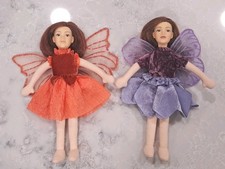 2 Flower Fairies Friends 2009