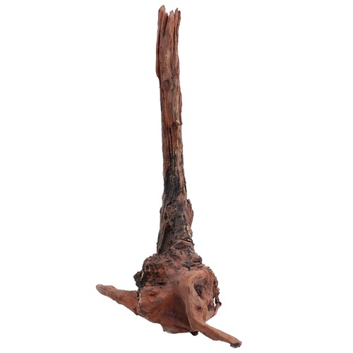 Wooden aquarium decor - decor, delicate