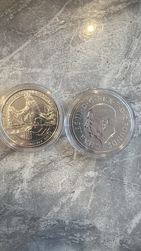 2026 1oz silver - 2026, –