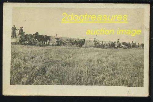 Horse drawn mccormick grain - horse,