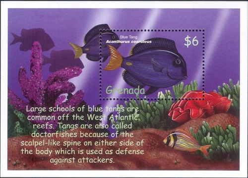 Grenada 2000 blue - grenada,
