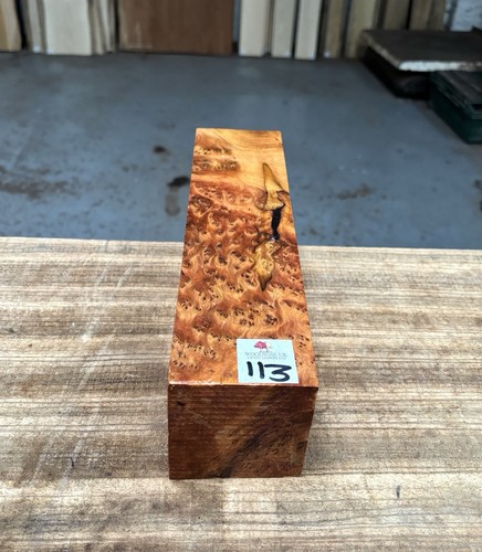 Thuya burr 3 x - 3,