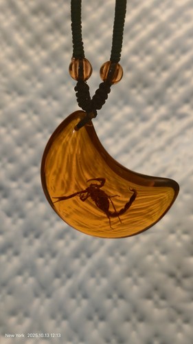 Necklace brown scorpion - scorpion, amber