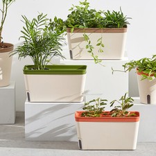 3X Trough Herb Planter Plant