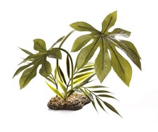 Komodo Terrarium Plants Realistic Vivarium Decoration Canopy Boston Fern Bush