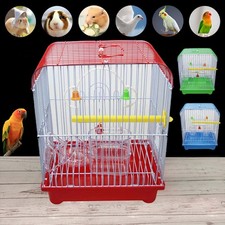 Small parakeet wire bird - parakeet,
