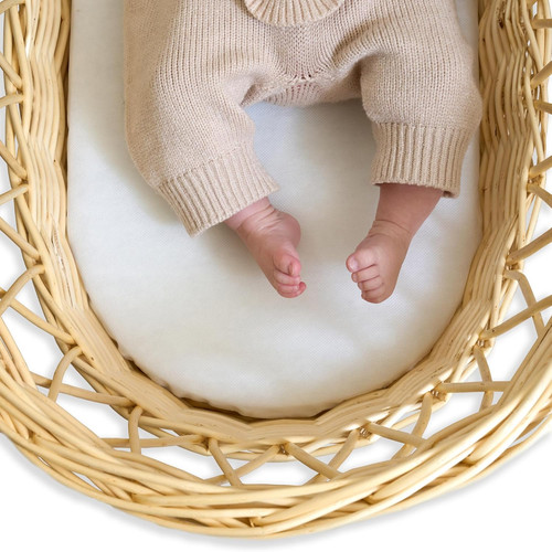 Wicker moses basket - moses,