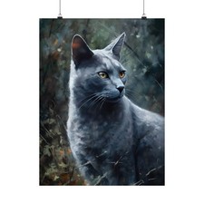 Russian blue cat - russian,