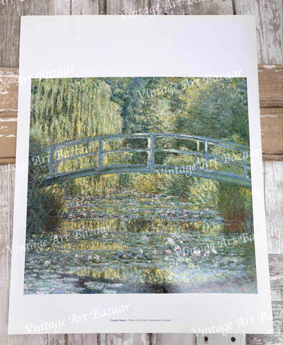 Water lily pond symphony - water-lily,