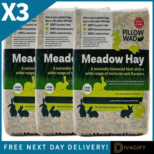 Pillow wad bio - x,