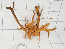 Premium Natural Aquarium Red