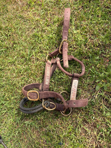 Monty roberts medium dually - roberts,