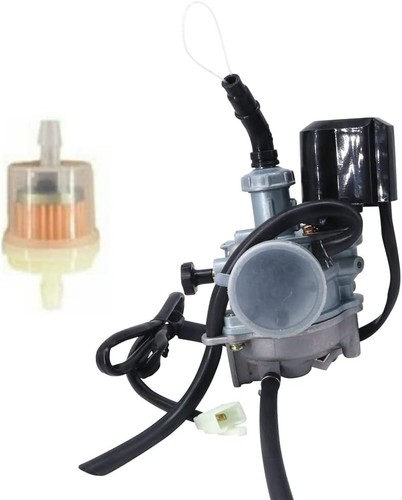 Carburetor for buddy 2t - carburetor,