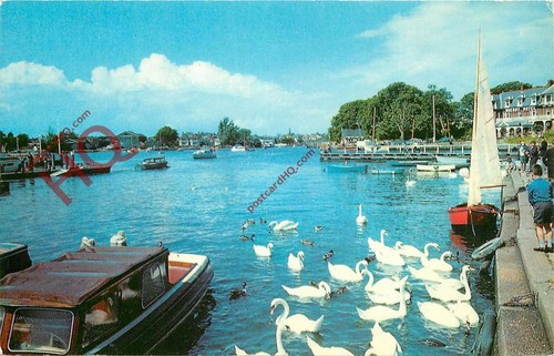 Picture postcard oulton - picture, postcard>