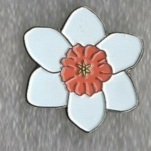 Daffodil pin badge white - pin,