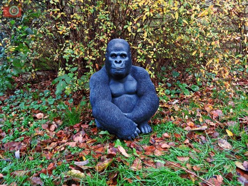 Silverback gorilla vivid - gorilla,