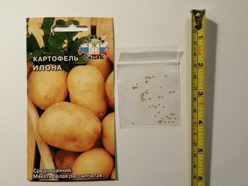 Rare potato seeds grow ur - seeds,