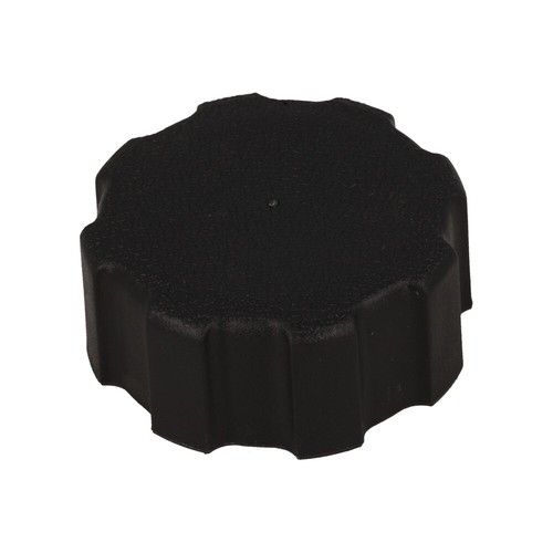 Petrol fuel tank cap - tank, with