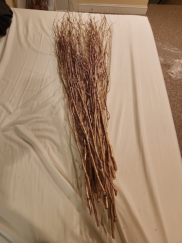 Twisted gold willow - gold, twig