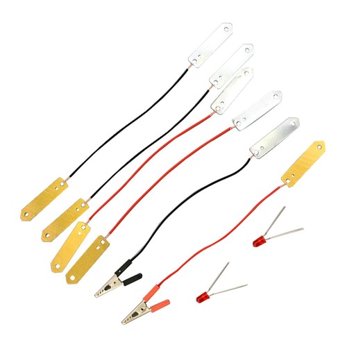Fruit battery science - fruit,