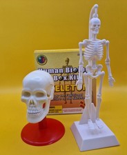 Human Biology Box Kit SKELETON
