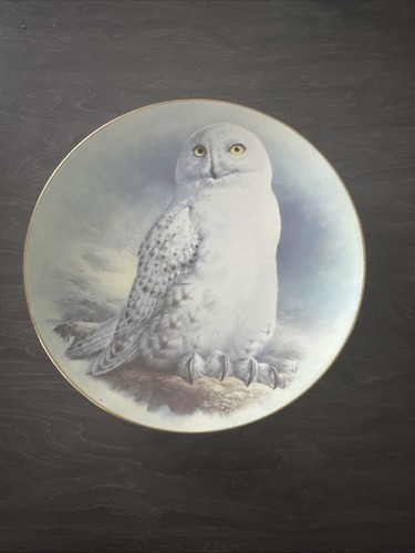 The snowy owl plate - the,