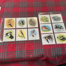 Trading cards CADBURY 99