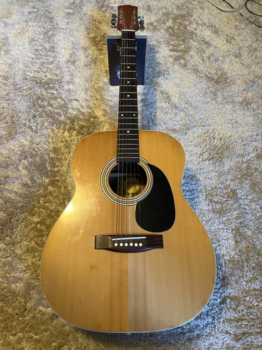 Very rare landola acoustic - very, f6