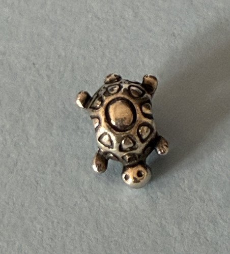 Genuine pandora turtle - pandora,