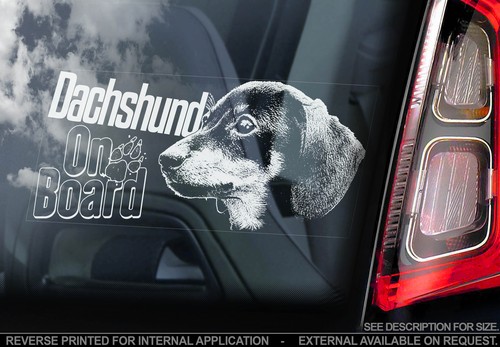 Dachshund car window sticker - -,