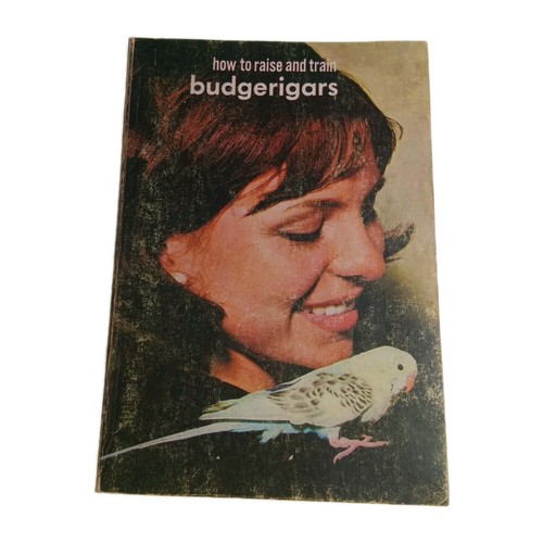 How raise budgerigars - to,