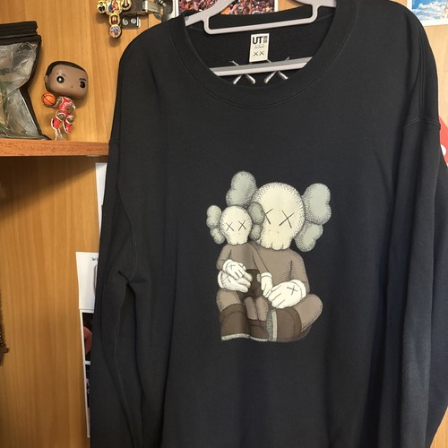 Kaws sweatshirt size - kaws, large