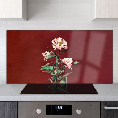 Glass cooker splashback - splashback, for