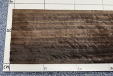 Fumed Eucalyptus Real Wood