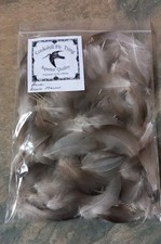 Fly Tying Materials.  Mallard Feathers.