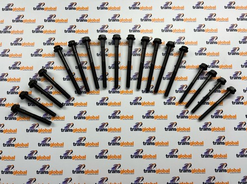 Complete cylinder head - complete,
