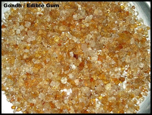 Katira gond tragacanth - katira, gum