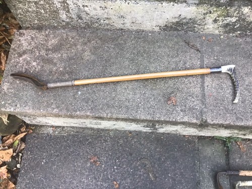 Hunting crop horned - crop, handle
