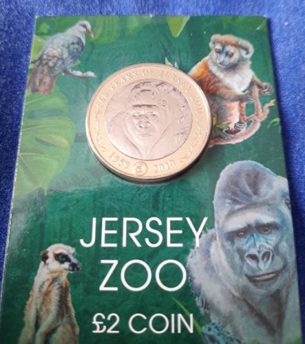 Years jersey zoo gorilla - 60,