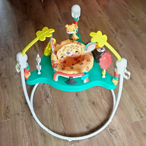 Fisher price jumperoo with - price,