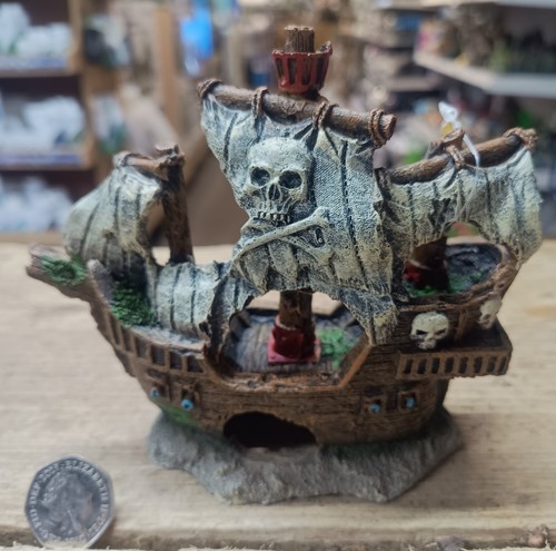 Small sunken skull pirate ship - skull,