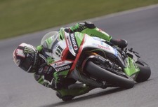 12”x8" BSB Photo Of Leon