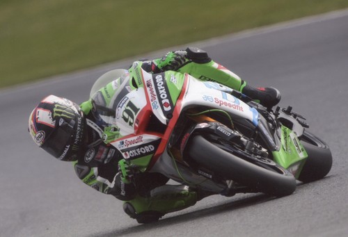 Bsb photo of leon - bsb,