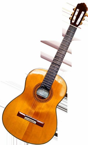 Clear gloss nitrocellulose - clear,