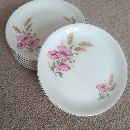 Vintage bristol pink - bristol, poppy