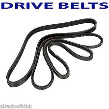 Alternator Fan Belt - Brand