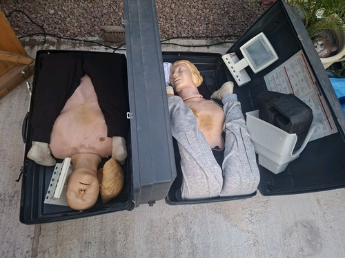 Laerdal resusci anne 1st - anne, ,